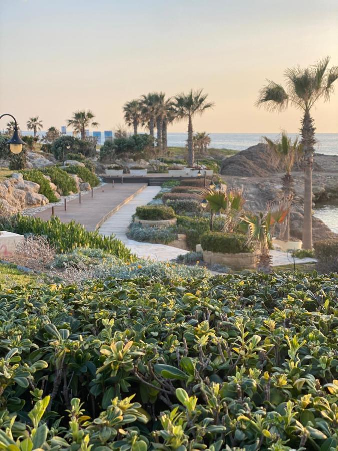 Royal Seacrest А203 Sea View Apartment Πάφος Εξωτερικό φωτογραφία