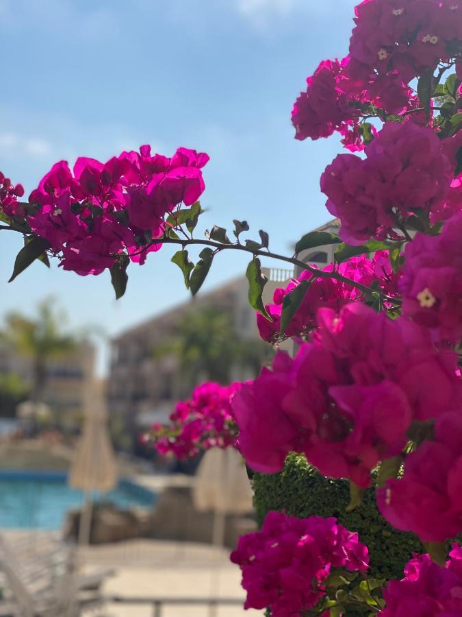 Royal Seacrest А203 Sea View Apartment Πάφος Εξωτερικό φωτογραφία
